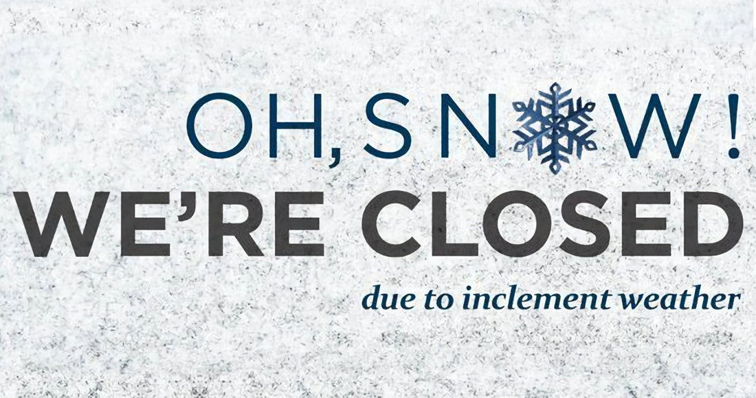 Brick and Mortar Snow Day