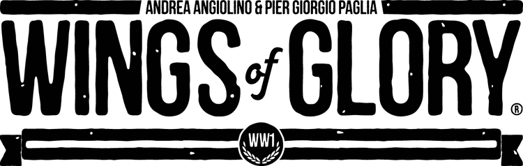 Wings Of Glory WW1 Game